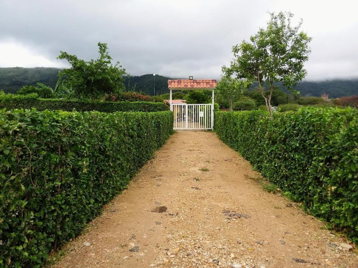 C&H Casa Campestre El Oasis Ricaurte Girardot Bed & Breakfast Dış mekan fotoğraf