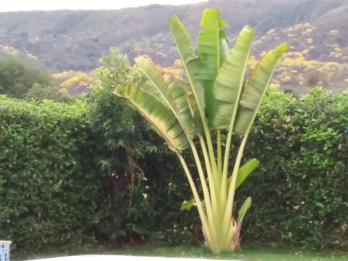 C&H Casa Campestre El Oasis Ricaurte Girardot Bed & Breakfast Dış mekan fotoğraf